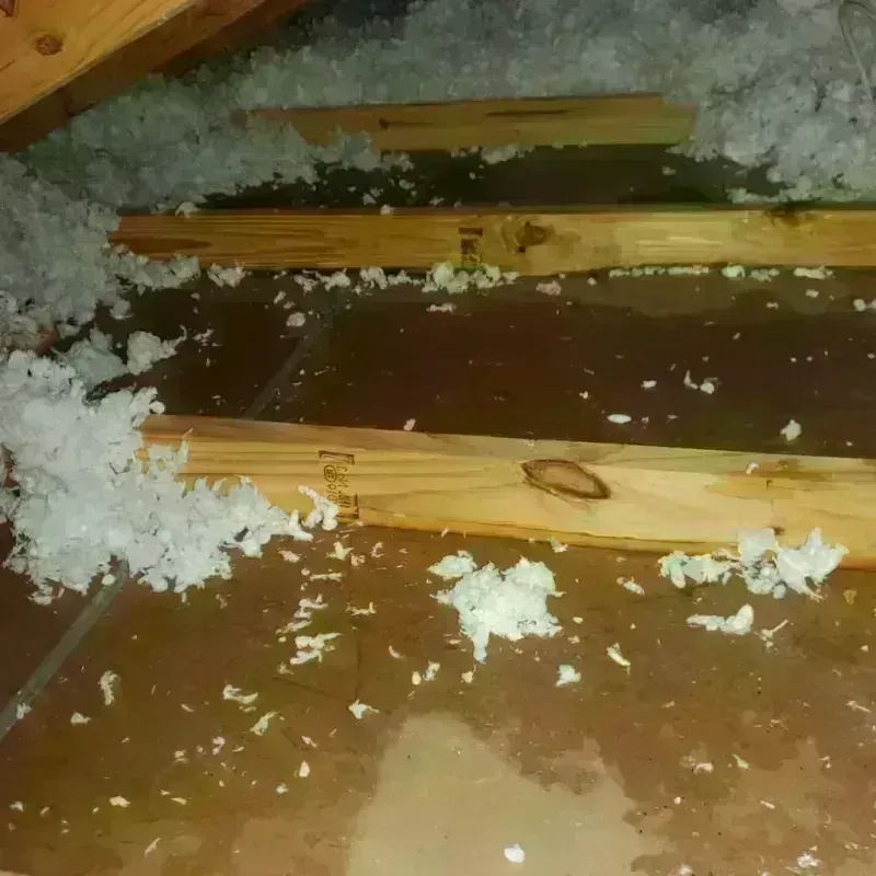 Attic Water Damage in City of Colonial Heights, VA